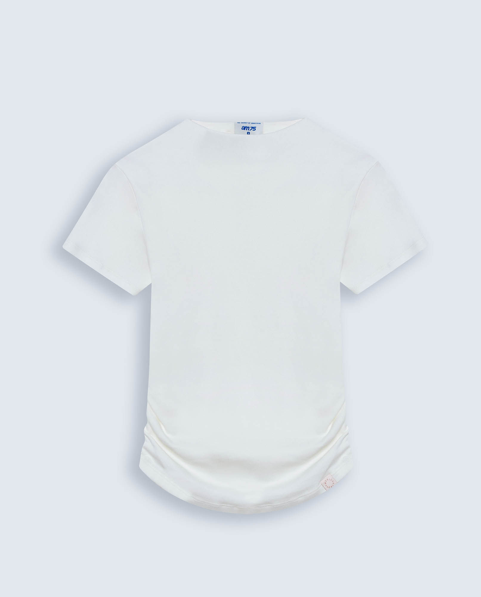 image-e5e29ee5d2f44c88844d1781e7e0f736