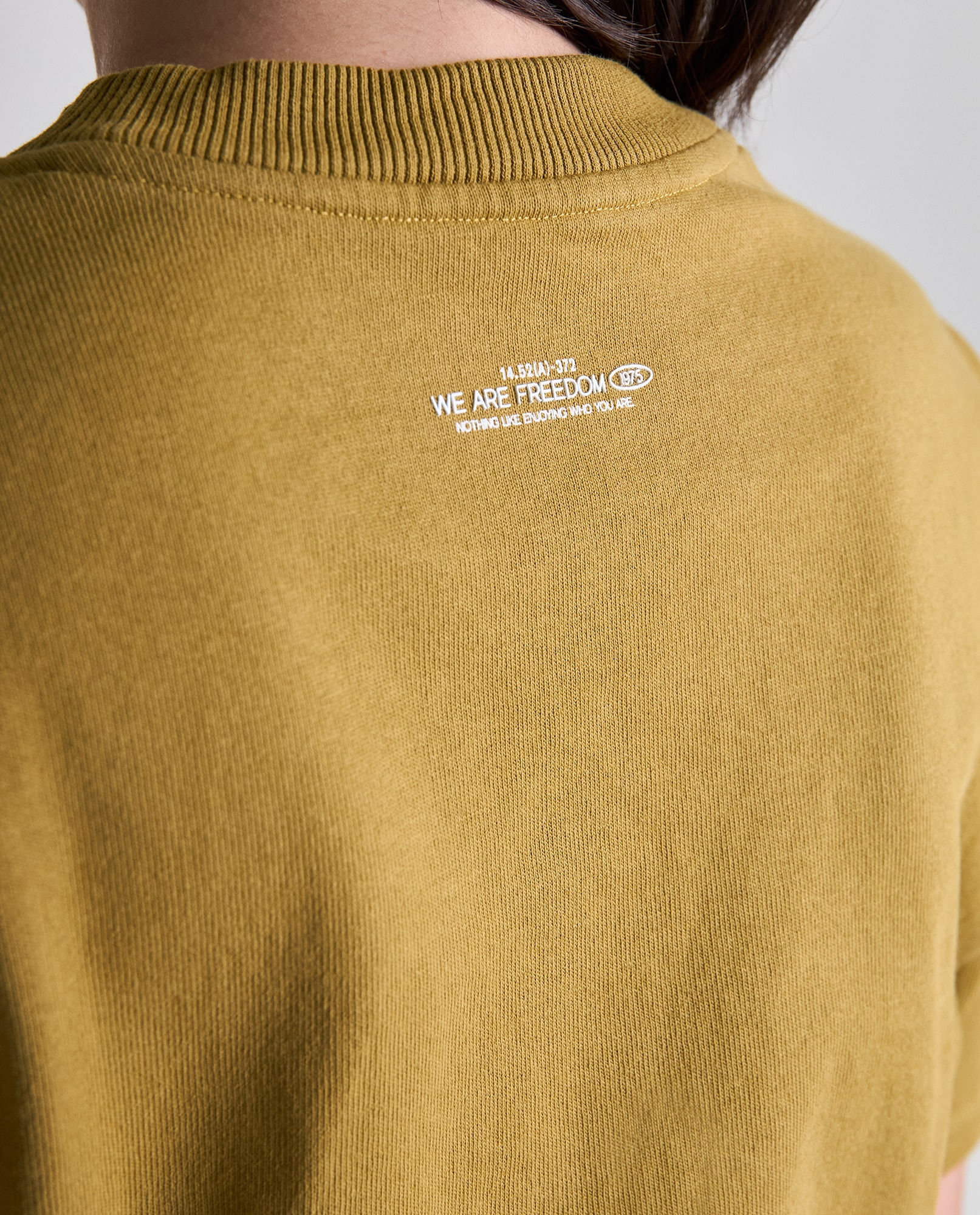 image-277d7ef227ea42eb9da8d67a2cd025f7