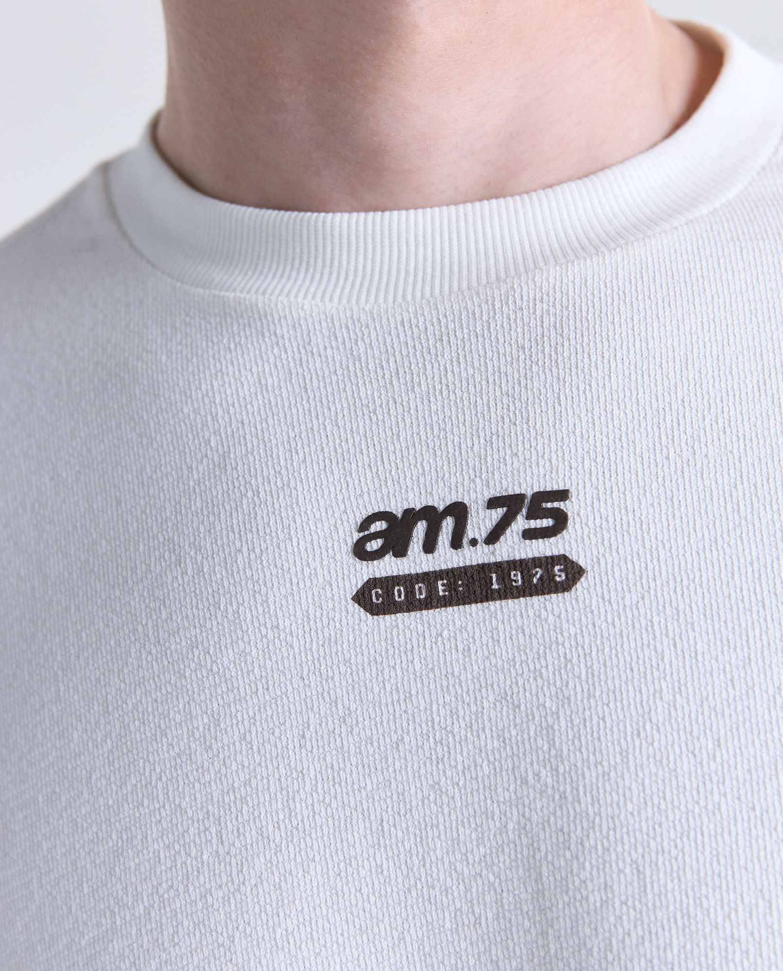 image-6c09b5f0741845d79a2d92dd2ee7aea3