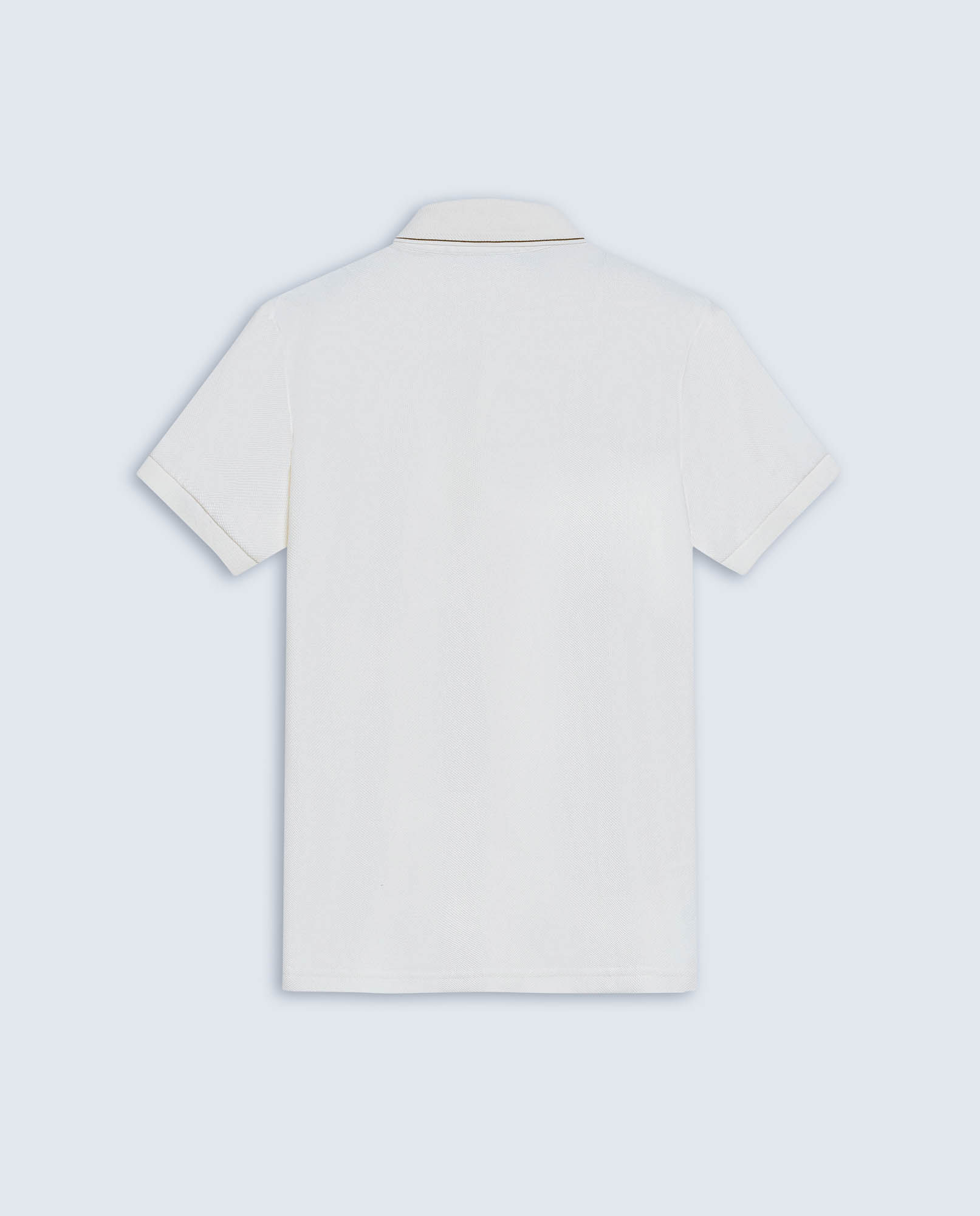 image-2e9a2dd92ba6403faac42f404dfbb488