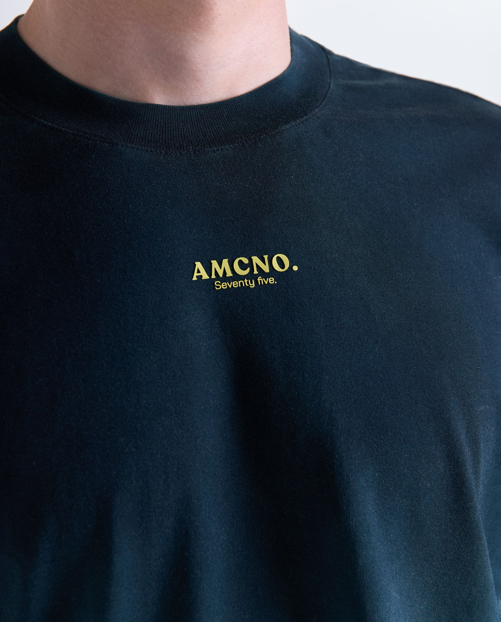 image-39f7f195909d49699ecb7d955cb187f1