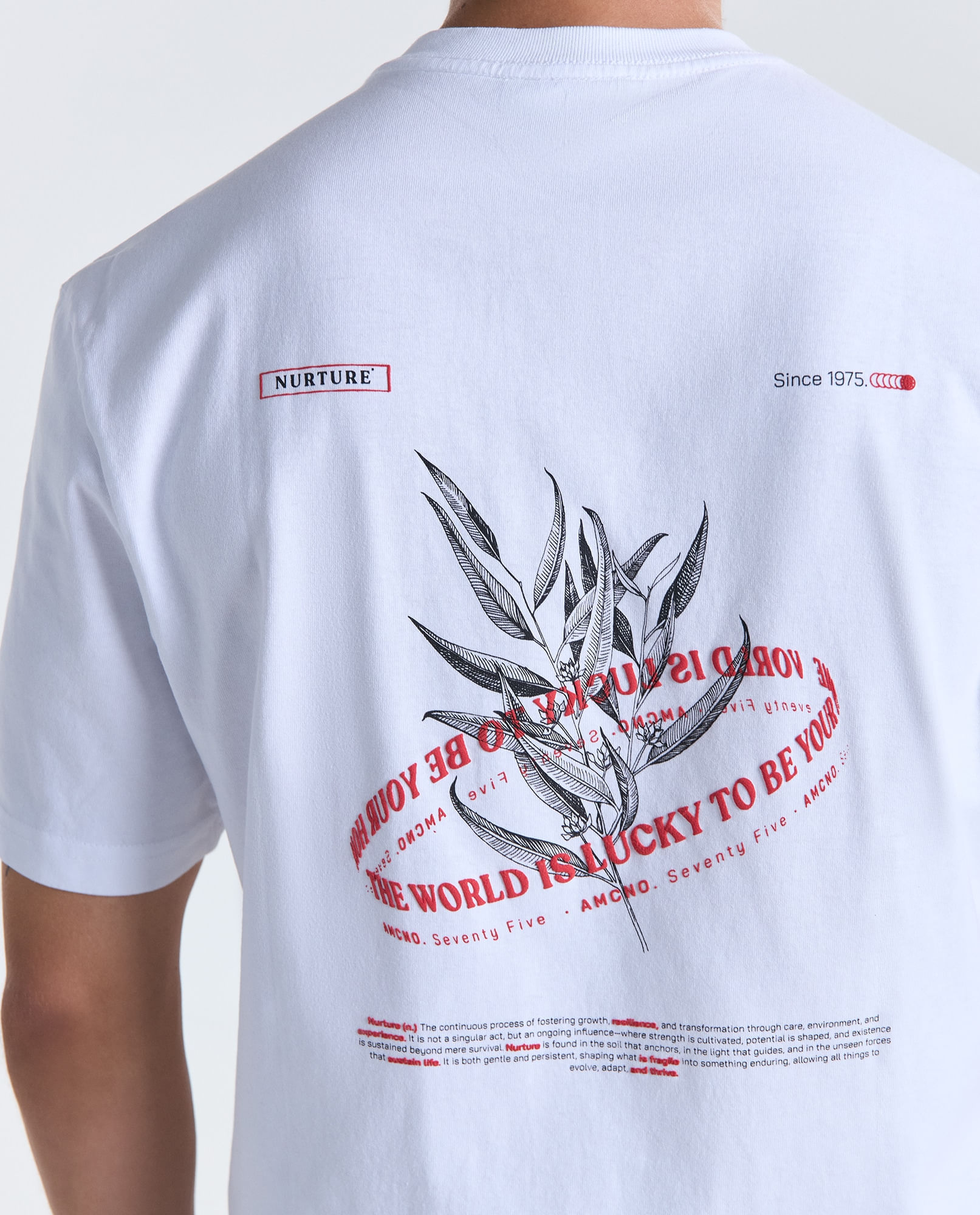 image-5ca211caad3a4ea0bb6dcfc35582fc20