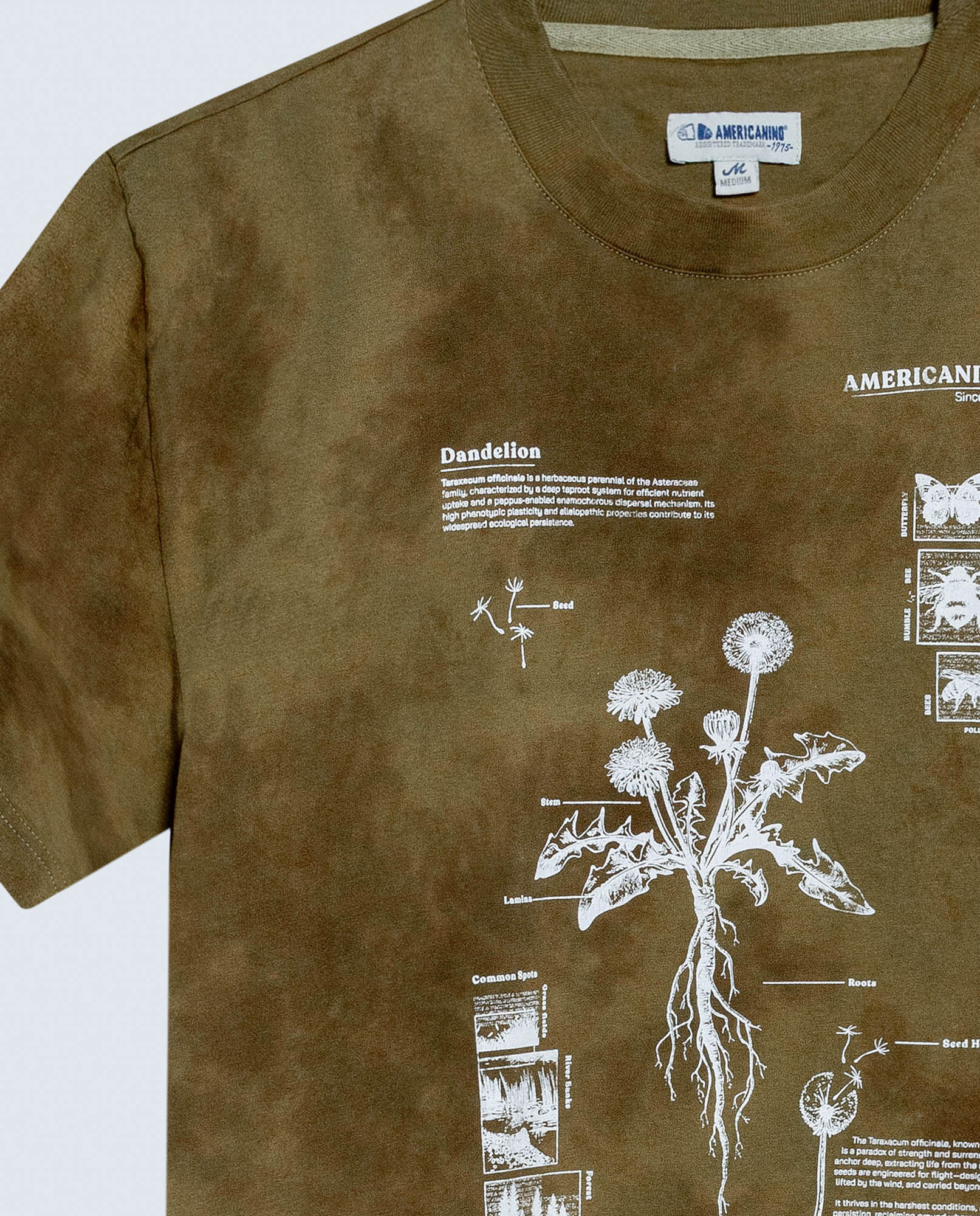 image-4cd2ef945d6041e581bd56847f3e002c