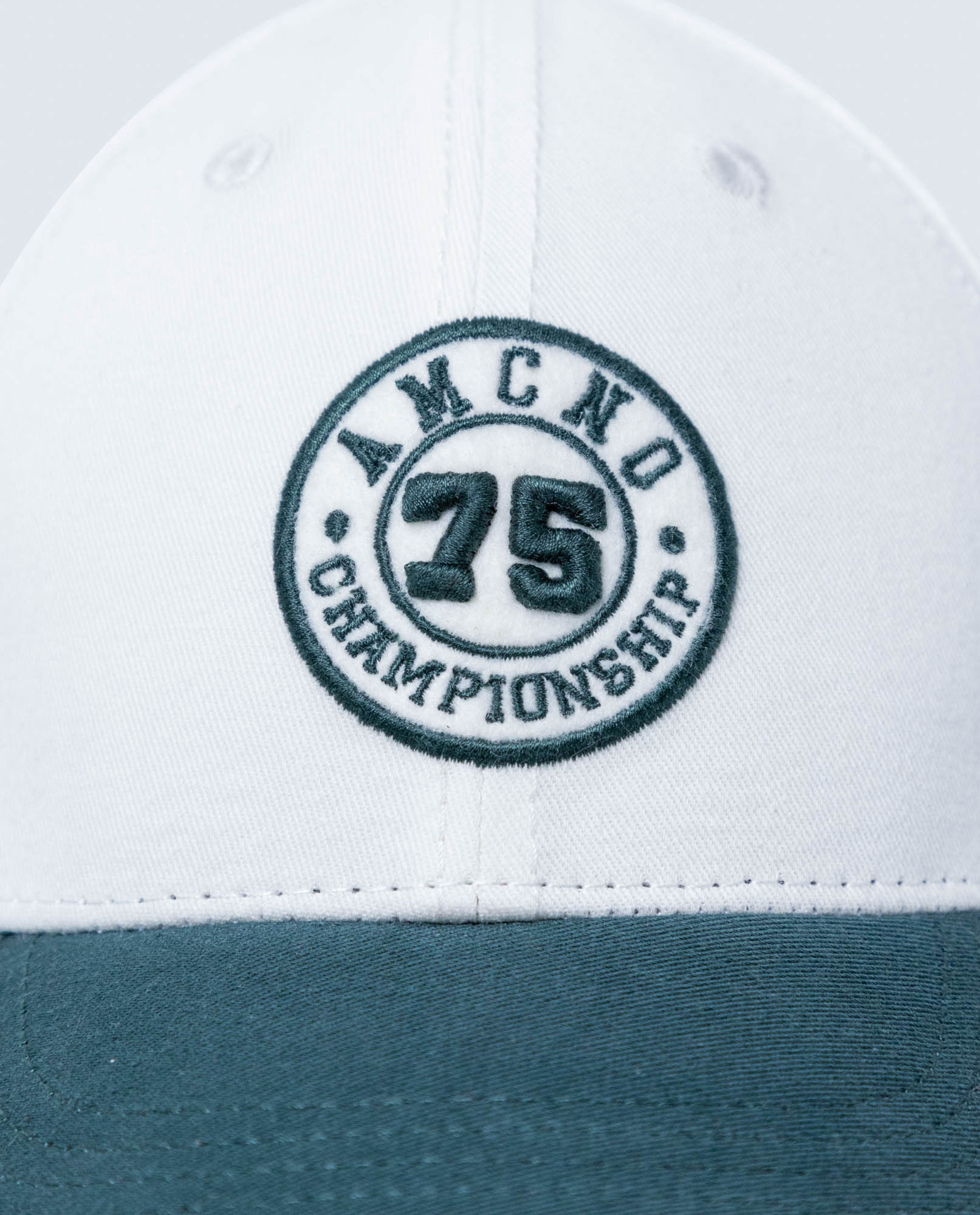 image-80ac849161424a95be2b6a2eefa75deb