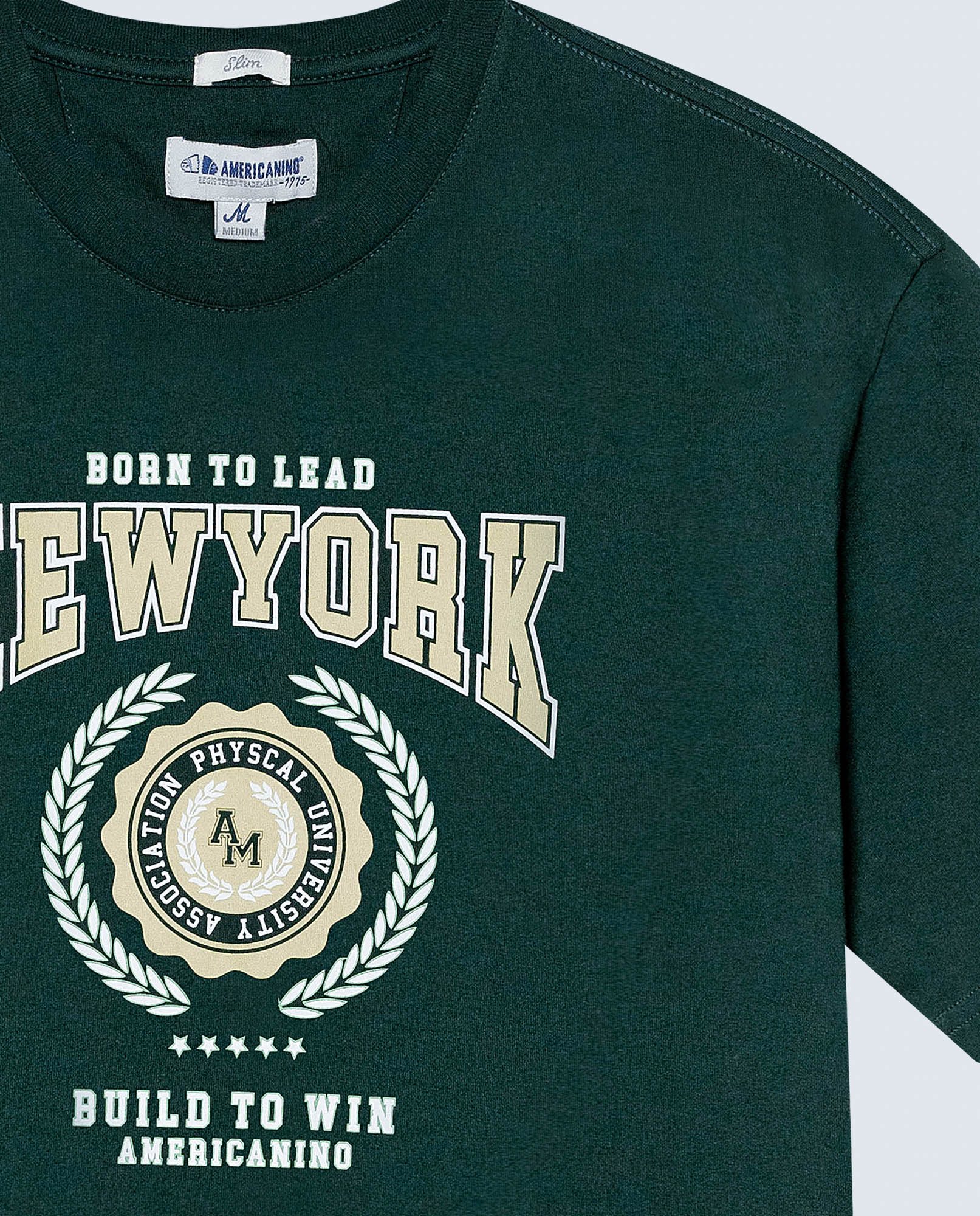 image-d51d1b8694cd424fb834c3e9cb252cc9