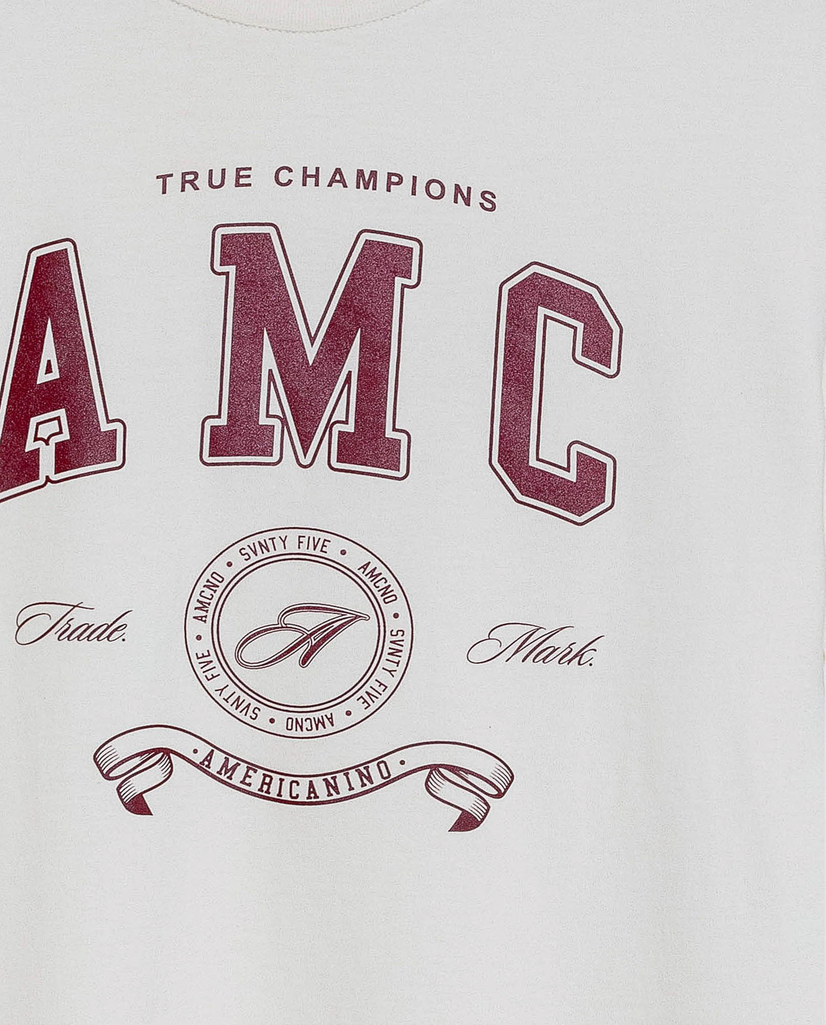 image-5dccd7e3ce4b4e198c3987ff0c33aeb7