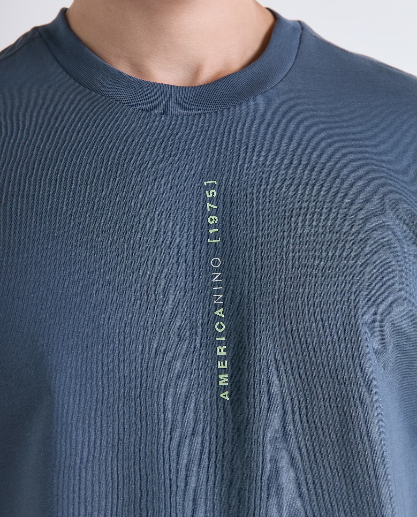 image-118904281d2a4ef0b6a6529ce421da22